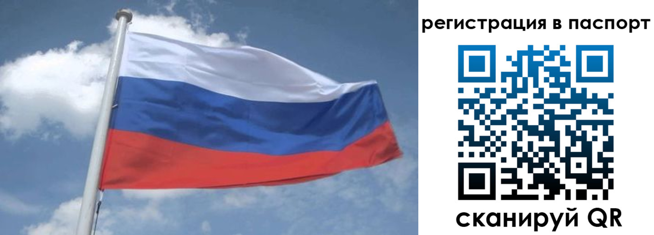 временная регистрация надежно в Елизово